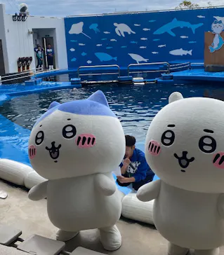仙台うみの杜水族館に投稿された画像（2023/4/16）