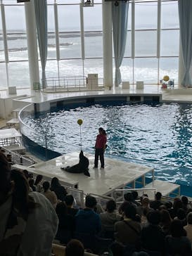 アクアワールド茨城県大洗水族館に投稿された画像（2023/4/16）