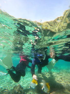 武藤潜水に投稿された画像（2023/4/16）