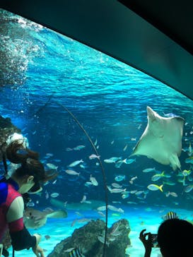 サンシャイン水族館に投稿された画像（2023/4/16）