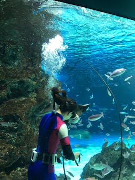 サンシャイン水族館に投稿された画像（2023/4/16）