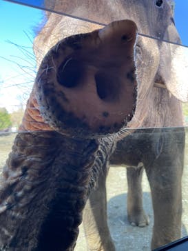 那須サファリパークに投稿された画像（2023/4/16）