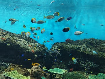 アクアワールド茨城県大洗水族館に投稿された画像（2023/4/16）