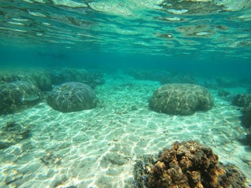 沖縄マリンサービス碧に投稿された画像（2023/4/16）