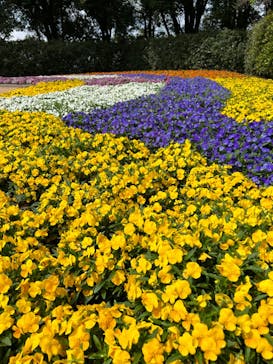 東武動物公園に投稿された画像（2023/4/16）