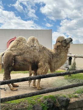 東武動物公園に投稿された画像（2023/4/16）