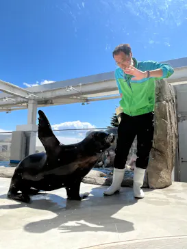 仙台うみの杜水族館に投稿された画像（2023/4/16）