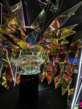 NARA KINGYO MUSEUMに投稿された画像（2023/4/16）