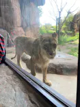 天王寺動物園に投稿された画像（2023/4/16）