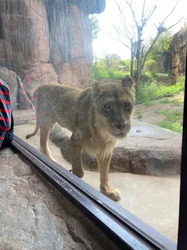 天王寺動物園に投稿された画像（2023/4/16）