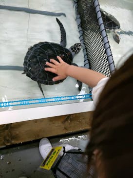 南知多ビーチランド＆南知多おもちゃ王国に投稿された画像（2023/4/16）