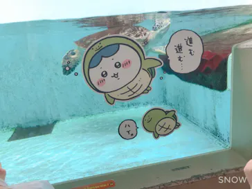 仙台うみの杜水族館に投稿された画像（2023/4/16）
