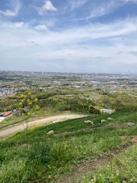 ワールド牧場に投稿された画像（2023/4/16）