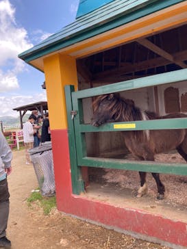 ワールド牧場に投稿された画像（2023/4/16）