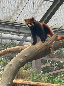 神戸どうぶつ王国に投稿された画像（2023/4/16）