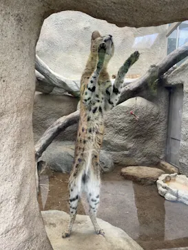 神戸どうぶつ王国に投稿された画像（2023/4/16）