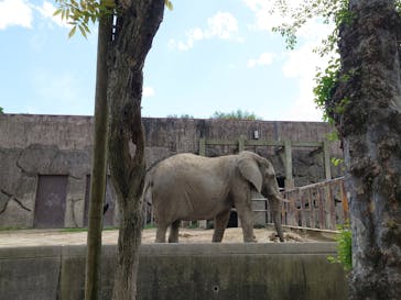 東武動物公園に投稿された画像（2023/4/16）