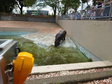 東武動物公園に投稿された画像（2023/4/16）