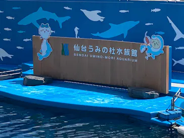 仙台うみの杜水族館に投稿された画像（2023/4/16）