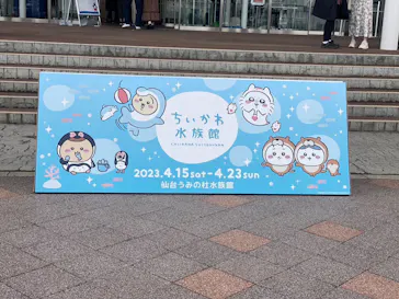 仙台うみの杜水族館に投稿された画像（2023/4/16）