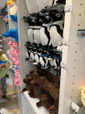 京都水族館に投稿された画像（2023/4/16）