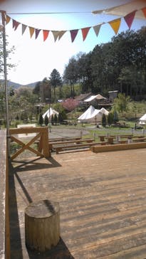 まかいの牧場に投稿された画像（2023/4/16）