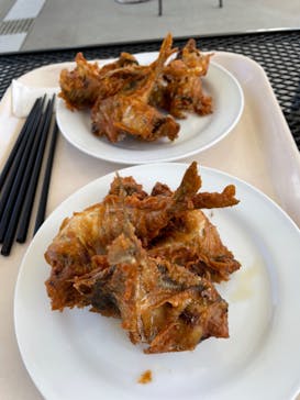 環境水族館アクアマリンふくしまに投稿された画像（2023/4/16）