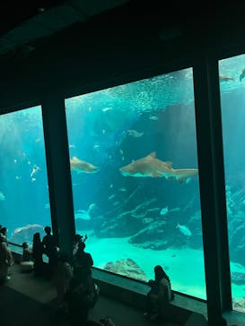 マリンワールド海の中道に投稿された画像（2023/4/16）