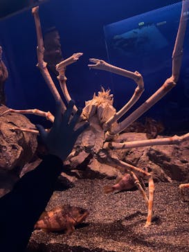 マリンワールド海の中道に投稿された画像（2023/4/16）