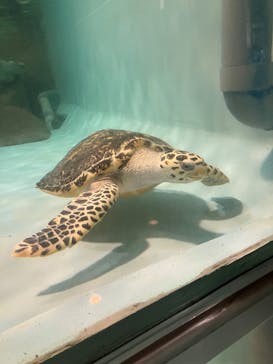 マリンワールド海の中道に投稿された画像（2023/4/16）