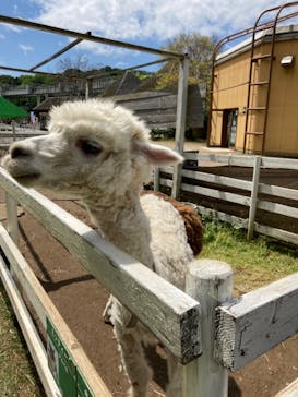 千葉市動物公園に投稿された画像（2023/4/16）