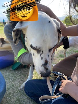 世界の名犬牧場に投稿された画像（2023/4/16）