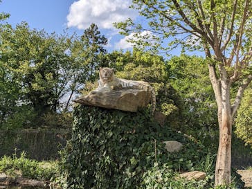 群馬サファリパークに投稿された画像（2023/4/16）