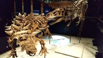 特別展「恐竜博2023」に投稿された画像（2023/4/16）
