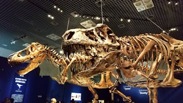 特別展「恐竜博2023」に投稿された画像（2023/4/16）