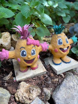 ナゴパイナップルパークに投稿された画像（2023/4/16）