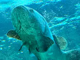 名古屋港水族館に投稿された画像（2023/4/16）