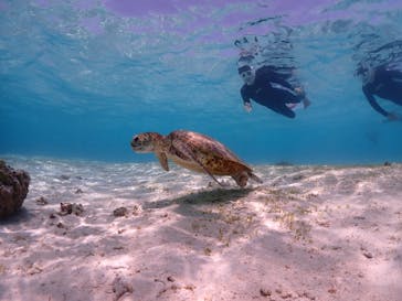 ちゃこたびに投稿された画像（2023/4/16）