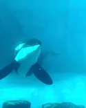 名古屋港水族館に投稿された画像（2023/4/16）