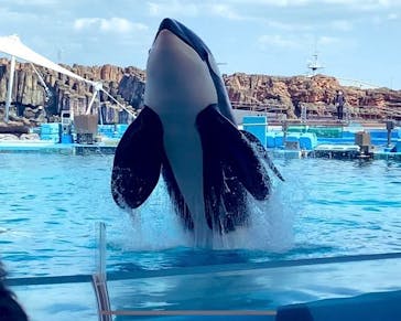 名古屋港水族館に投稿された画像（2023/4/16）