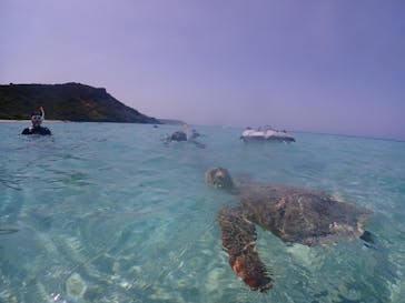 ちゃこたびに投稿された画像（2023/4/16）