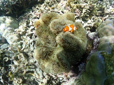 ちゃこたびに投稿された画像（2023/4/16）