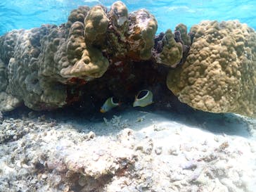 ちゃこたびに投稿された画像（2023/4/16）