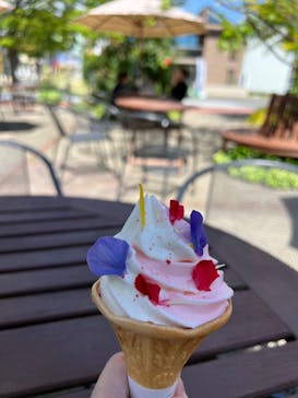 横浜イングリッシュガーデンに投稿された画像（2023/4/16）