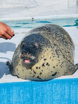 南知多ビーチランド＆南知多おもちゃ王国に投稿された画像（2023/4/16）