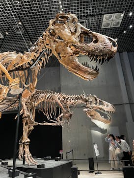 特別展「恐竜博2023」に投稿された画像（2023/4/16）