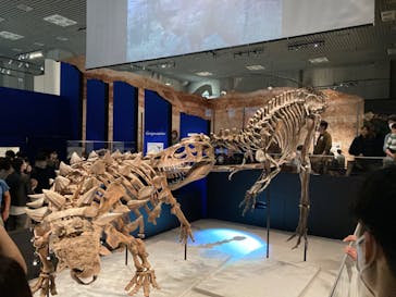 特別展「恐竜博2023」に投稿された画像（2023/4/16）