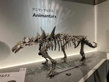 特別展「恐竜博2023」に投稿された画像（2023/4/16）