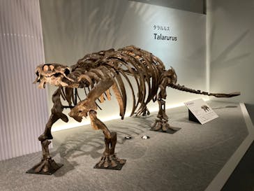 特別展「恐竜博2023」に投稿された画像（2023/4/16）