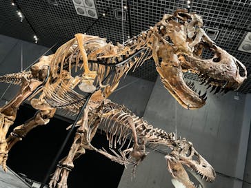 特別展「恐竜博2023」に投稿された画像（2023/4/16）